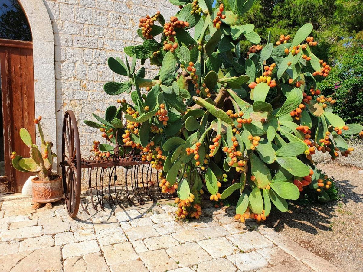 Masseria Agrituristica Lama San Giorgio Rutigliano Exterior foto