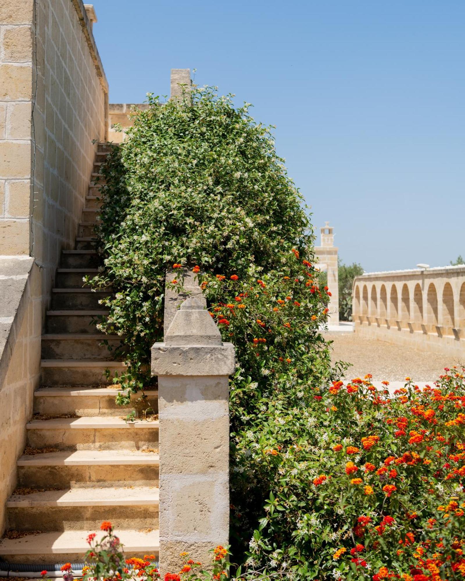 Masseria Agrituristica Lama San Giorgio Rutigliano Exterior foto